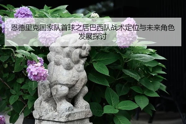 恩德里克国家队首球之后巴西队战术定位与未来角色发展探讨