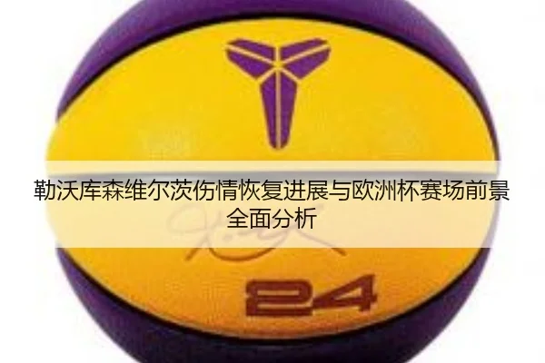 勒沃库森维尔茨伤情恢复进展与欧洲杯赛场前景全面分析